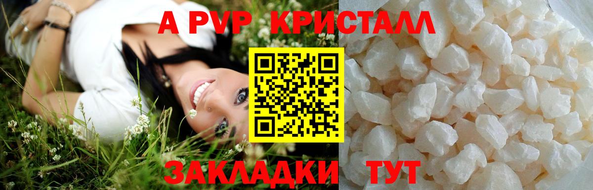 Альфа ПВП Советская Гавань