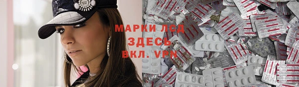 стаф Абаза