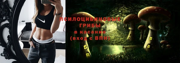 стаф Абаза