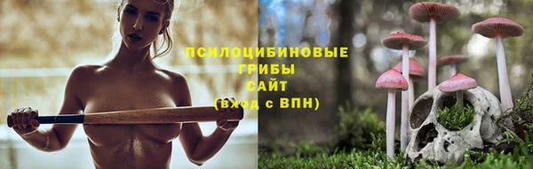 стаф Абаза