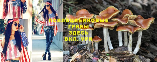 стаф Абаза