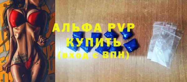 стаф Абаза
