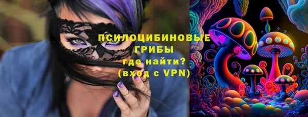 стаф Абаза