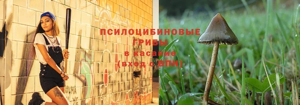 стаф Абаза