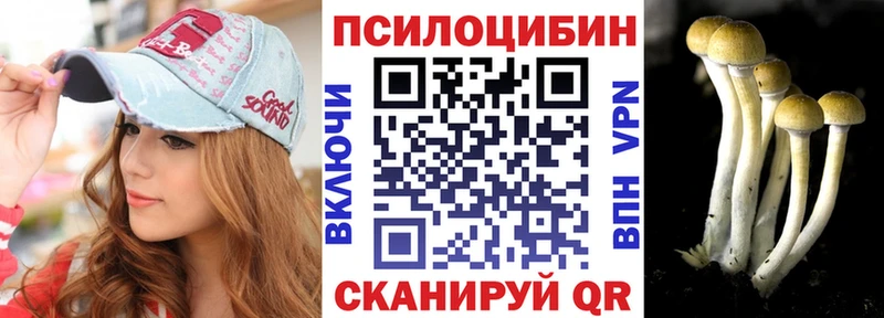 купить наркотики цена Советская Гавань Псилоцибиновые грибы мицелий