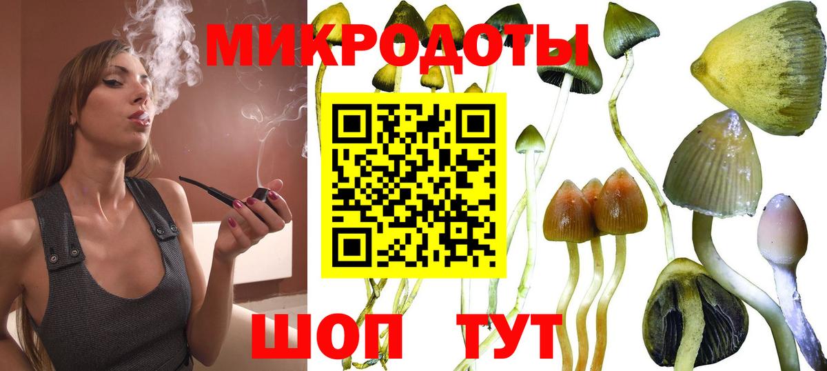 Советская Гавань  наркотики  Вход с VPN  Псилоцибиновые грибы мицелий  Галлюциногенные грибы Psilocybe 